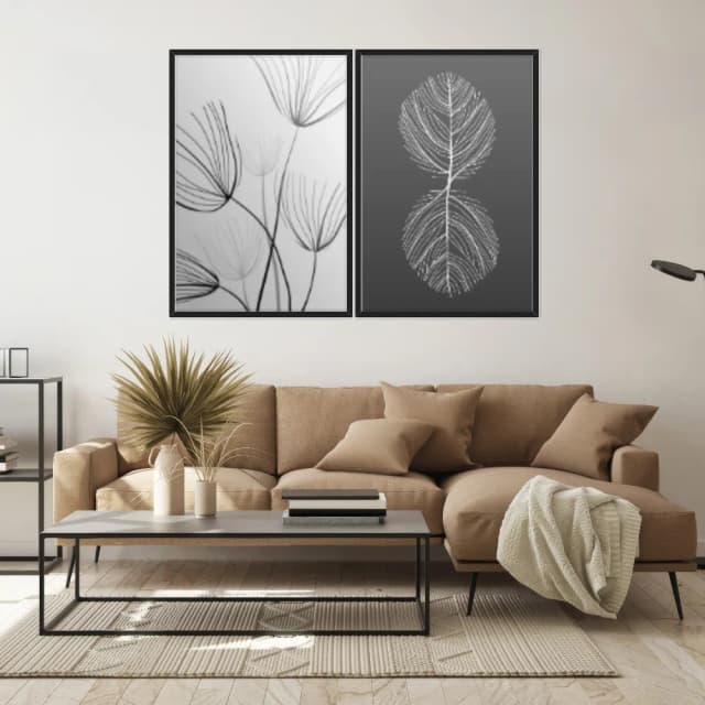 Kit Quadros Decorativos Folha Raio X