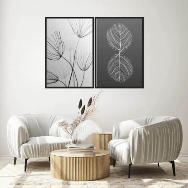 Kit Quadros Decorativos Folha Raio X